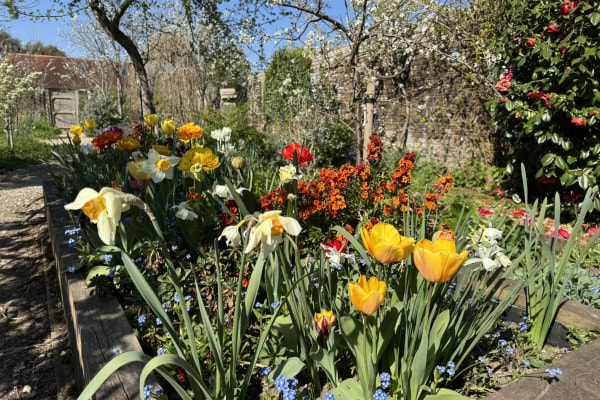 Milford Early Years Centre, The Old Bank House