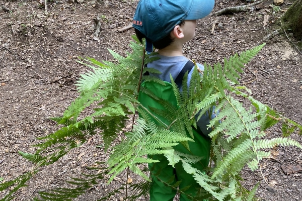 Hidden Valley Grayshott, Hindhead, Hampshire