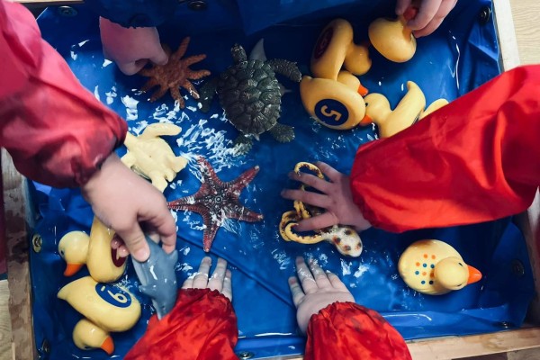 Hedgehogs Preschool at Hassell ST5 1LF