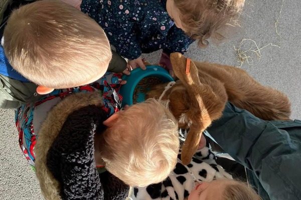 Hedgehogs Preschool at Hassell, Hassell Primary School