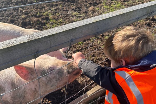 Hygge Bears Nursery SG13 7NT