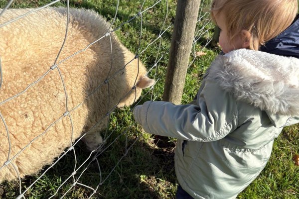 Hygge Bears Nursery, Hertford, Hertfordshire