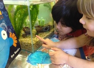 Brightsparks Day Nursery, Purley, Purley, London