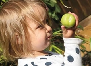 Junior's Day Nursery Cranbrook, Cranbrook, Kent