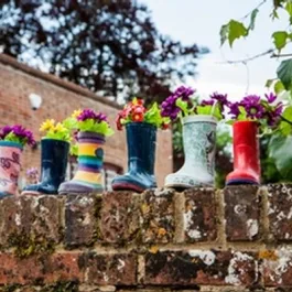 The Old School Nursery (Shapwick) Ltd