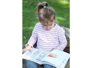 Castle Nurseries at Willow Avenue, Newcastle upon Tyne, Tyne & Wear