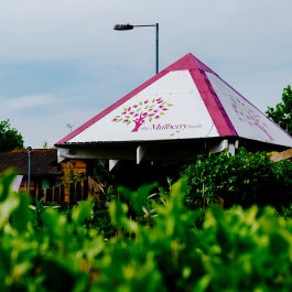 The Mulberry Bush Waterlooville
