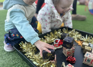 Wise Owls - Farm View Day Nursery, Reading, Berkshire