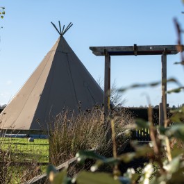 Thrive Cotton Lane, Chester, Cheshire