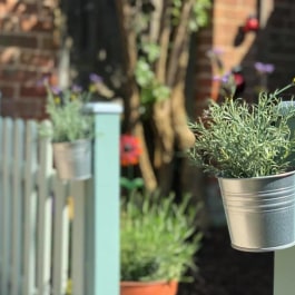 Pangbourne Day Nursery