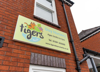 Tigers at Theale Day Nursery, Reading