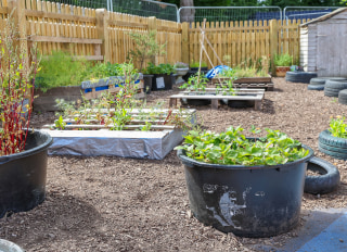 Kings Burrow Nursery, Winchester, Hampshire
