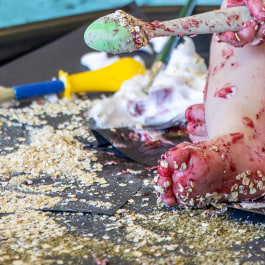 Kings Burrow Nursery, Winchester, Hampshire