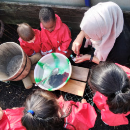 Woodroyd Nursery