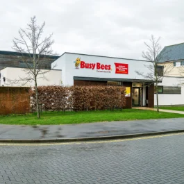 Busy Bees Picket Twenty