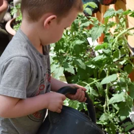 Alexandra Park Creative Nursery School