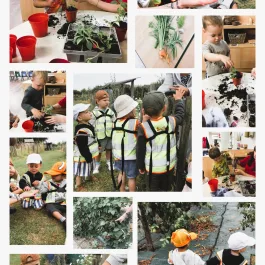 Smiles Day Nursery