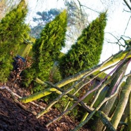 Chestnut Nursery Schools @ Taverham