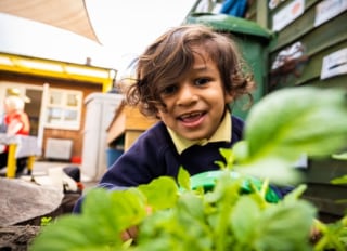 Sunflowers Nursery, Staines-upon-Thames, Surrey