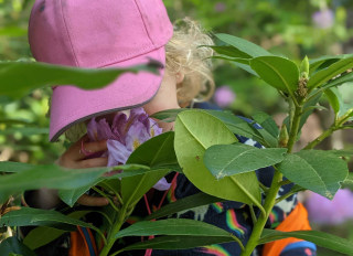 Outdoor Owls Putney, London, London