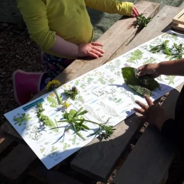 Shepherd's Hut Outdoor Day Nursery - Great Missenden