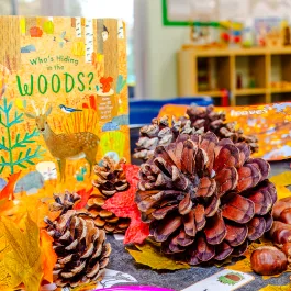 Squirrels Pre-School Delamere Park