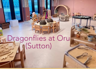 Dragonflies at Oru, Sutton, London