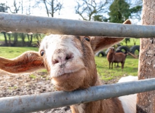 Hygge Bears Nursery, Hertford, Hertfordshire