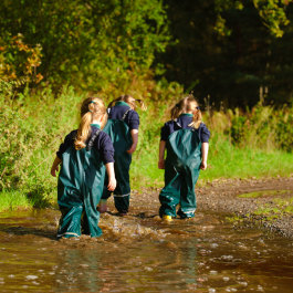 Wellesley Nursery, Hook, Hampshire