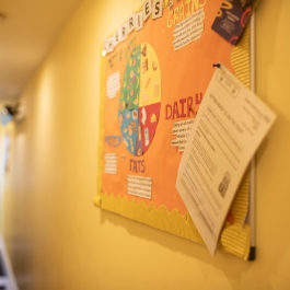 Fruitful Childcare Ltd