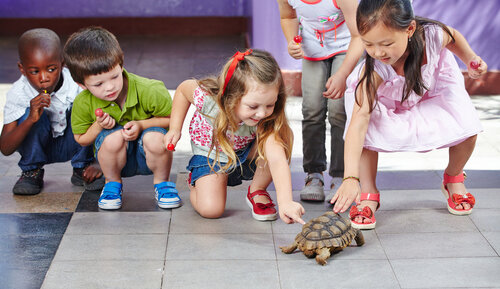 best start family hubs; best start family hub; family hub; help for parents